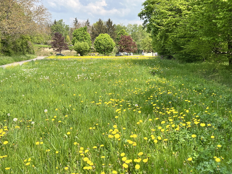 22-05-02 13-23-25 0723